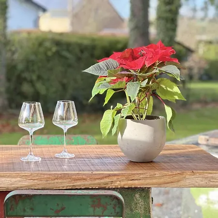 Chez Brigitte